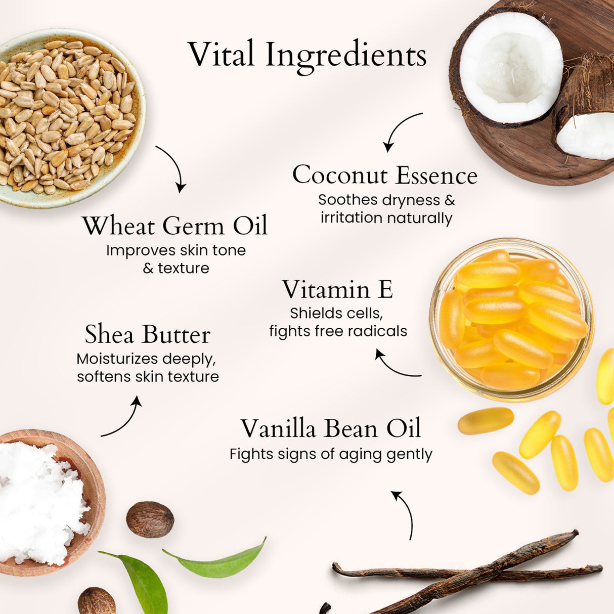 Cocoa Vanilla Body Butter