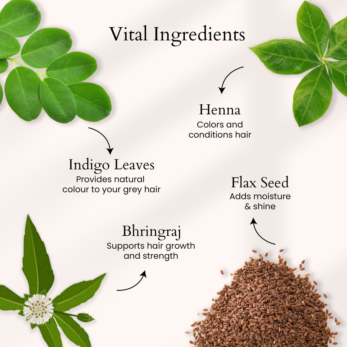 Neelamari Mehendi 100g