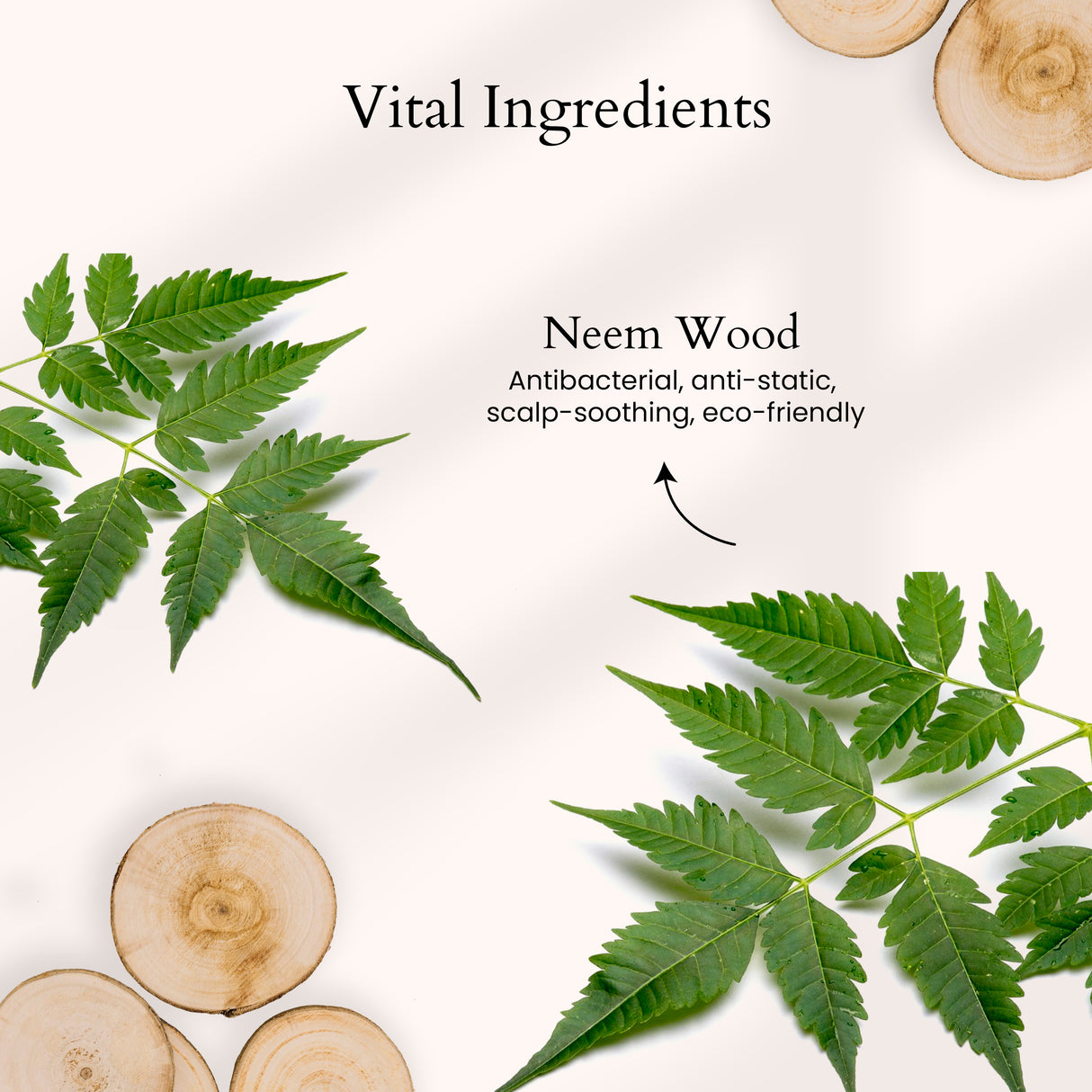 Prasadana Neem Hair Comb