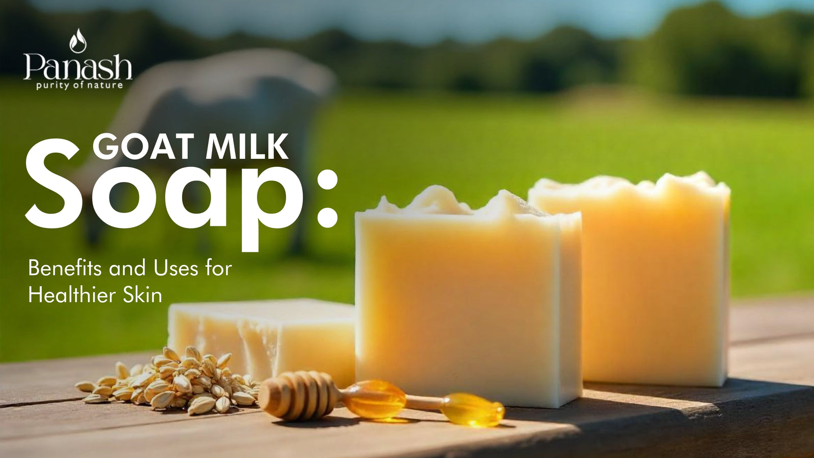 Goat Milk Soap: Benefits and Uses for Healthier Skin