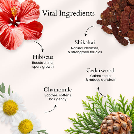 Hibiscus Hair Mask